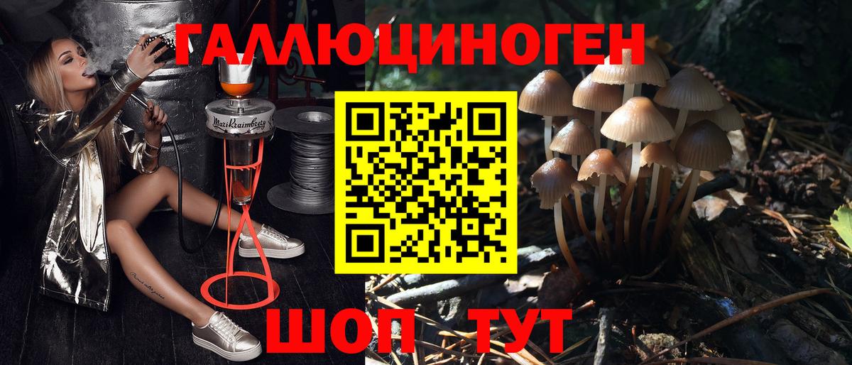 Галлюциногенные грибы MAGIC MUSHROOMS Орехово-Зуево